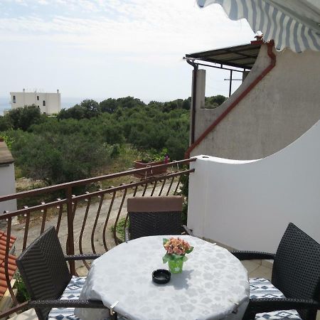 רוגוזניצה Apartments Milica מראה חיצוני תמונה