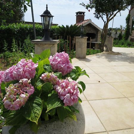 רוגוזניצה Apartments Milica מראה חיצוני תמונה