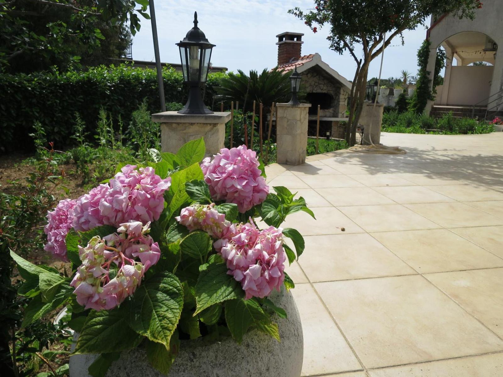 רוגוזניצה Apartments Milica מראה חיצוני תמונה